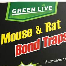 Strong Adhesive Rat Trap With Built-In Bait, Powerful Adhesive For Home, Kitchen, And Storage, New Type Of Effective Pest Control - BH0611150 - View 4
