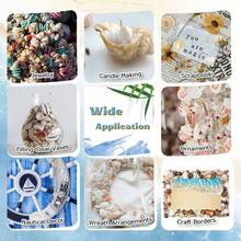 Aquarium Beach Treasure Mix - Shells & Sea Shells - Activate Fish Tank And Glass Tank - A - View 10