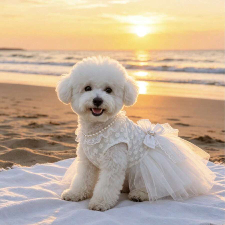 Pet Princess Wedding Dress, White Floral Lace Tulle Tutu Skirt With Bow Decoration, Formal Party Outfit For Small Dogs & Cats, Suitable For Bichon Teddy - White - View 1