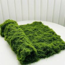 人造苔蘚地毯 水族造景仿生草坪 模擬苔蘚微景佈局 盆栽植物路徑苔蘚墊 苔蘚裝飾 人造苔蘚 - 綠色苔蘚地毯 - 查看 1
