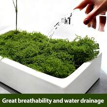30/50/60/80/90/100/120/160/200/230/250g 人造苔蘚裝飾 - 真實綠植 - 包裝 - 完美適用於微景觀、窗戶裝飾和設計佈局，仿苔蘚仿生人造苔蘚，綠色苔蘚微景觀裝飾，DIY 綠色植物 - 嫩綠色 - 查看 6