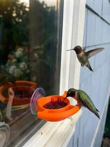 1pc Suction Cup Window Mounted Parrot Feeding Bowl With Double-Sided Grip Ring, Multi-Color Detachable Food Container, Wall-Mounted/Glass-Mounted, Suitable For Indoor/Outdoor Window Parrot Feeding Setup, Bird Cage Accessory - one-size - View 1