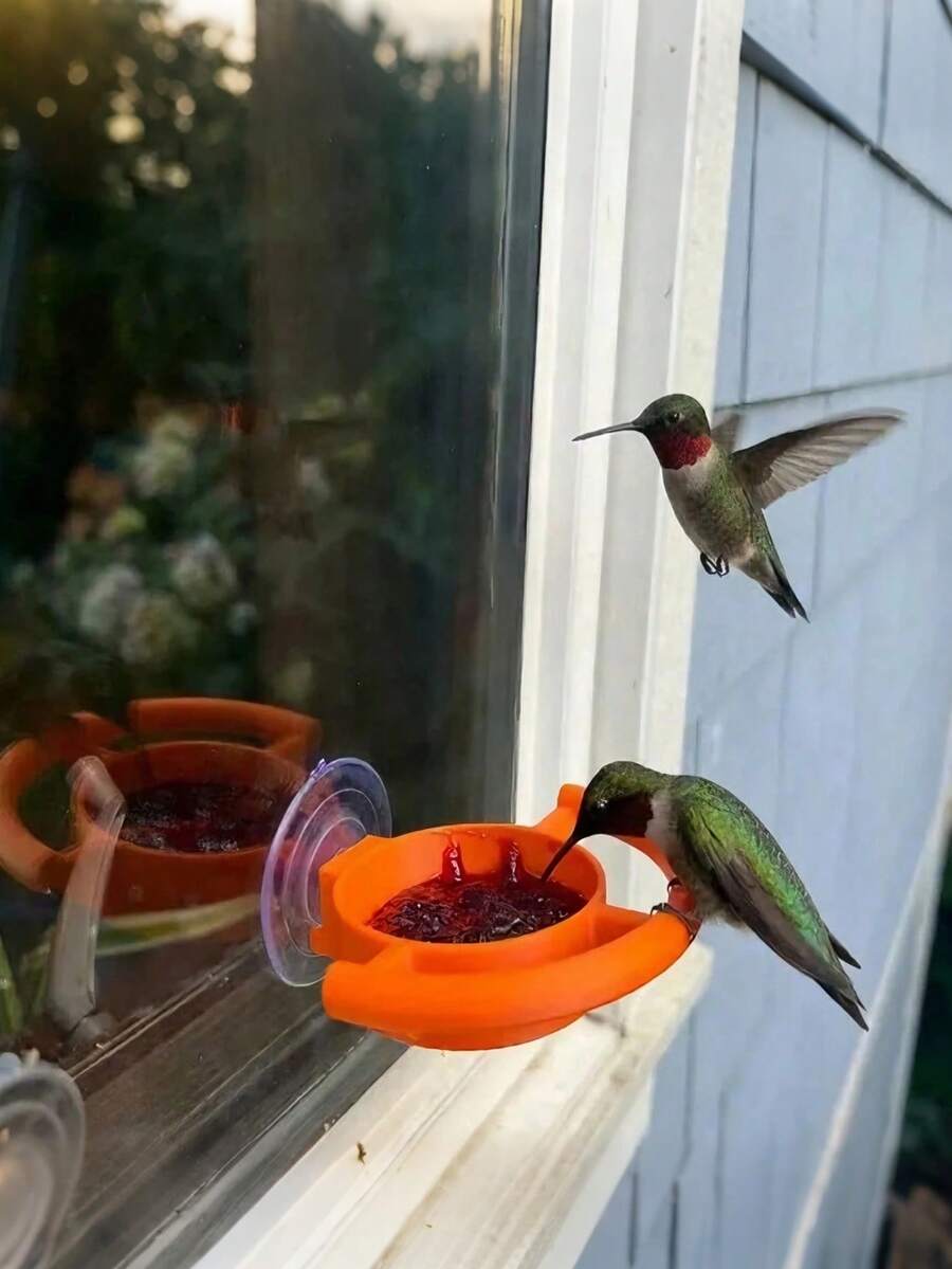 1pc Suction Cup Window Mounted Parrot Feeding Bowl With Double-Sided Grip Ring, Multi-Color Detachable Food Container, Wall-Mounted/Glass-Mounted, Suitable For Indoor/Outdoor Window Parrot Feeding Setup, Bird Cage Accessory - one-size - View 1