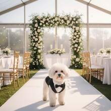 Pet Striped Tuxedo With Bow Tie, Gentle Wedding Formal Wear, Suitable For Dogs And Cats, Corgi Teddy Party Outfit - Black - View 1