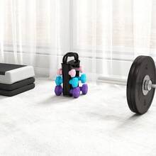 2 X 1kg, 2 X 2kg, 2 X 3kg Dumbbells Set With Dumbbell Rack, Hand Weights For Home Gym Training - T0001-01-3569 - View 3