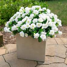 2/4PCS Fresh Pure White Artificial Gardenia Flowers, Large Capacity With Multiple Buds, No Leaf Drop, Sun-Resistant For Balcony Outdoor, Qixi Gift, Desktop Decoration - Multicolor - View 4