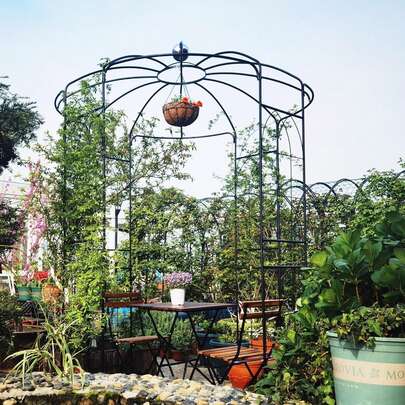 Gazebo French Style Birdcage Shape Heavy Duty Gazebo,9'Highx 6'6" Wide, Pavilion Arch Arbor Arbour Plants Stand Rack For Wedding Outdoor Garden Lawn Backyard Patio,Climbing Vines,Roses,Dark ...