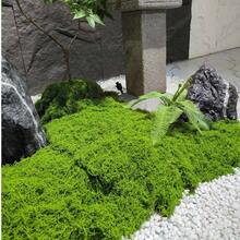 人造苔蘚地毯 水族造景仿生草坪 模擬苔蘚微景佈局 盆栽植物路徑苔蘚墊 苔蘚裝飾 人造苔蘚 - 綠色苔蘚地毯 - 查看 8