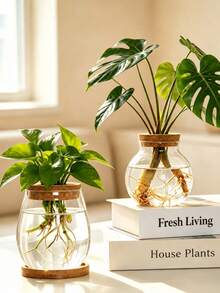 1pc Round/Oval Hydroponic Plant Glass Vase Transparent Flower Vase Plant Propagation Cup Christmas Gift Mother's Day Office Decor Home Dining Table Vase - 1PC - View 1