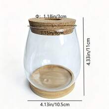 1pc Round/Oval Hydroponic Plant Glass Vase Transparent Flower Vase Plant Propagation Cup Christmas Gift Mother's Day Office Decor Home Dining Table Vase - 1PC - View 6