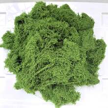 30/50/60/80/90/100/120/160/200/230/250g 人造苔蘚裝飾 - 真實綠植 - 包裝 - 完美適用於微景觀、窗戶裝飾和設計佈局，仿苔蘚仿生人造苔蘚，綠色苔蘚微景觀裝飾，DIY 綠色植物 - 嫩綠色 - 查看 1
