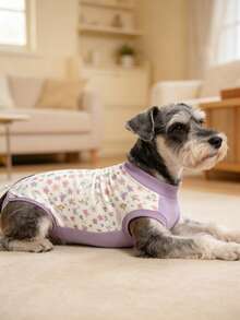 Pakaian Pemulihan Pasca Operasi untuk Anjing Betina, Cocok untuk Perawatan Pasca Operasi Anjing, Mencegah Hewan Peliharaan Menjilat Luka, - Mauve Purple - View 3