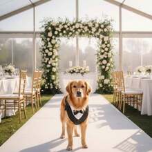 Pet Striped Tuxedo With Bow Tie, Gentle Wedding Formal Wear, Suitable For Dogs And Cats, Corgi Teddy Party Outfit - Black - View 2