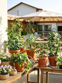 1/3/6pcs Honeycomb Plant Climbing Trellis, Rust-Proof Plastic Support Rack, Suitable For Potted Vine Plants And Flowers, Lightweight Foldable Space-Saving, Indoor/Outdoor Garden Balcony Patio Universal - One Size Fits All - View 2