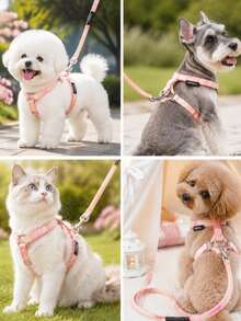 Cat Harness And Leash Set, Adjustable Gradient Vest Harness With Leash For Cats And Small Dogs, Comfortable Lightweight Walking Harness For Outdoor Walking - Multicolor - View 2