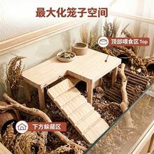 1 Set Solid Wood 2-Tier Platform Table With Climbing Ladder, Suitable For Hamsters, Guinea Pigs, Teddy Bear Hamsters Climbing Stairs, Hideout And Landscape Platform, Suitable For Small Pets, All Seasons - Apricot - View 4
