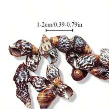 50g/100g Per Bag, Sesame Snail, Wheat, Small Seashell, Shell, Handmade Stickers, For Decorating Landscape Drift Bottles - Set - View 3