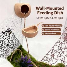 Jumping Spider Hiding Spot And Feeding Dish Set, Insect Habitat Hideout Cave, Spider Enclosure Accessories, Pet Spider Hiding Spot Enclosure Accessories, Suitable For Jumping Spider Accessories And Amphibian Resting And Activity Points, Used For Climbing, Resting And Exploring - View 2