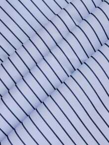 Plus Size Women's Preppy Striped Button-Down Long Sleeve Regular Fit Basic Top - Baby Blue - View 6