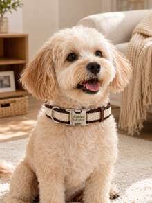 Collar personalizado para mascotas, tarjeta de identificación con nombre y número de teléfono grabados, viene con un collar de perro de nailon con cordón, collar de , adecuado para perros y gatos de tamaño pequeño y mediano, perfecto para que los dueños de mascotas personalicen regalos de cumpleaños - Multicolor - Ver 6
