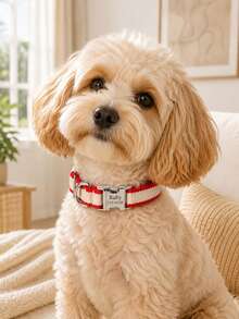 Collar personalizado para mascotas, tarjeta de identificación con nombre y número de teléfono grabados, viene con un collar de perro de nailon con cordón, collar de , adecuado para perros y gatos de tamaño pequeño y mediano, perfecto para que los dueños de mascotas personalicen regalos de cumpleaños - Multicolor - Ver 3
