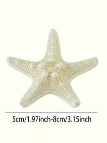 3 Items Conch Shell Five- Praying Mantis Starfish Specimen, Mediterranean Platform Decoration. The Scent Is The Natural Odor Of The Product Itself And Cannot Be Avoided. Please Provide An Objective Review! Thank You - Multicolor - View 3