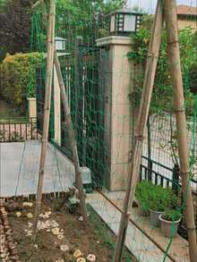 Ultra Thick Reinforced Edge Climbing Net, Easy To Install, Suitable For Beans, Cucumbers, Roses, Gourds, Grapes And Other Plants Growth, Suitable For Garden And Yard Outdoor Gardening - Plant Climbing Net - View 7