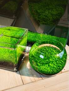 1pc 500g Aquarium Plant Soil, Suitable For All Fish Tanks, Aquatic Plant Tanks And Shrimp Tanks, Rich In Nutrients, Promotes Growth, Enhances Water Landscape Aesthetics - View 4