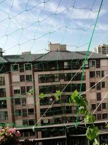 Ultra Thick Reinforced Edge Climbing Net, Easy To Install, Suitable For Beans, Cucumbers, Roses, Gourds, Grapes And Other Plants Growth, Suitable For Garden And Yard Outdoor Gardening - Plant Climbing Net - View 8