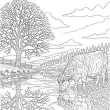 (24頁) 成人著色書 - 高地牛：簡單清晰的圖案，可愛的著色書，適合作為齋月、情人節、聖誕派對、萬聖節和生日的完美禮物 - 可愛著色場景，舒緩壓力 - 單件 - 查看 7