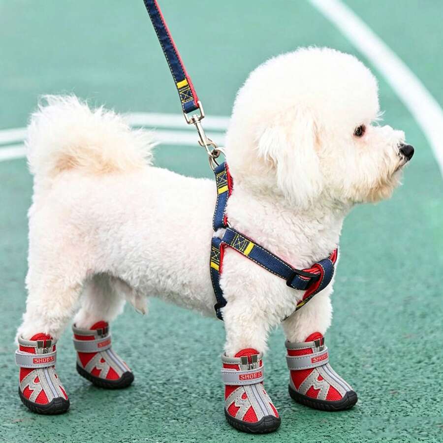 防滑寵物運動鞋，四季通用透氣網布狗用戶外鞋！適用於比熊、泰迪、比格犬及其他小型至中型幼犬，拼接設計，鏤空網布面料全天候透氣，告別悶腳與異味；前置順滑拉鍊 + 寬版腳踝束帶，穿脫快速且固定牢靠，跑步時不易脫落，提升狗狗散步安全性
