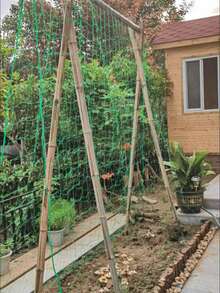 Ultra Thick Reinforced Edge Climbing Net, Easy To Install, Suitable For Beans, Cucumbers, Roses, Gourds, Grapes And Other Plants Growth, Suitable For Garden And Yard Outdoor Gardening - Plant Climbing Net - View 6