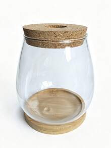 1pc Round/Oval Hydroponic Plant Glass Vase Transparent Flower Vase Plant Propagation Cup Christmas Gift Mother's Day Office Decor Home Dining Table Vase - 1PC - View 4
