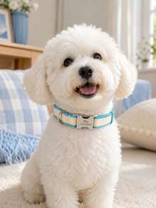 Collar personalizado para mascotas, tarjeta de identificación con nombre y número de teléfono grabados, viene con un collar de perro de nailon con cordón, collar de , adecuado para perros y gatos de tamaño pequeño y mediano, perfecto para que los dueños de mascotas personalicen regalos de cumpleaños - Multicolor - Ver 9