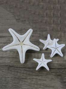 3 Items Conch Shell Five- Praying Mantis Starfish Specimen, Mediterranean Platform Decoration. The Scent Is The Natural Odor Of The Product Itself And Cannot Be Avoided. Please Provide An Objective Review! Thank You - Multicolor - View 7