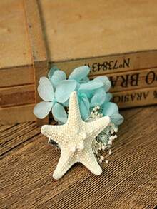 6pcs Natural Seashell, Five-Finger Mantis Shrimp, Starfish Specimens, Mediterranean Style Ocean Decor Wall Art Series Home Decoration, Naturally Formed Without Artificial Processing - Set - View 2