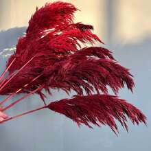 10pcs Artificial Pampas Grass Decorative Stems, Faux Reed Feather Bouquet. Pink Pampas Grass, Artificial Flowers. Bohemian Style Indoor Floral Decor, Wedding Vase, Bedroom Floor Arrangement Choice; Also Suitable As Faux Greenery, Birthday / Anniversary Gift, DIY Wreath Accessory, Banquet Party Scene Decoration, Florist Floral Material. - Burgundy - View 2