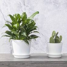 7-Pack White And Black Plastic Plant Pots, Multi-Size Flower Pots With Trays - A - View 9