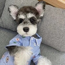 Autumn Small Dog Anti-Shedding Pajamas, 3 Colors Cartoon Pattern Thin Jacket, Yorkshire Terrier, Schnauzer, Bichon Frise, Teddy Shirt, Beach Jacket, Machine Washable - Blue - View 4
