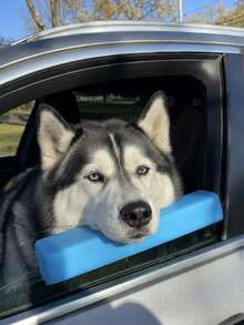 Pet Car Window Chin Rest Cushion, Dog Travel Window Sill Pillow, Soft Foam Headrest Armrest Pad, Anti-Scratch Door Edge Protector, Suitable For Small, Medium, Large Dogs, Comfortable Car Ride Accessory - one-size - View 3