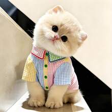 1pc Pet Shirt, Casual Comfortable Breathable, Spring/Summer Cat & Dog Clothes, Suitable For Teddy Poodle And Other Small Pets - Multicolor - View 10