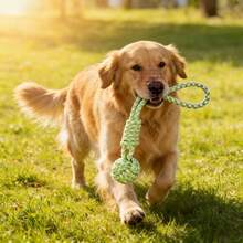 Large Dog Chew And Tug Toy | Thickened Wide Braided Rope Ball With Red Striped Fabric Cover | Suitable For Puppies And Adult Dogs | High-Strength Interactive Tug-Of-War Training Toy - Multicolor - View 15