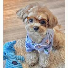 Autumn Small Dog Anti-Shedding Pajamas, 3 Colors Cartoon Pattern Thin Jacket, Yorkshire Terrier, Schnauzer, Bichon Frise, Teddy Shirt, Beach Jacket, Machine Washable - Blue - View 7