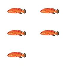 Leopard Coral Grouper Enamel Pin Fashion Decorative Badge Ornaments Lapel Bag Badges Gifts - Multicolor - View 9