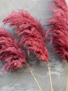 10pcs Artificial Pampas Grass Decorative Stems, Faux Reed Feather Bouquet. Pink Pampas Grass, Artificial Flowers. Bohemian Style Indoor Floral Decor, Wedding Vase, Bedroom Floor Arrangement Choice; Also Suitable As Faux Greenery, Birthday / Anniversary Gift, DIY Wreath Accessory, Banquet Party Scene Decoration, Florist Floral Material. - Burgundy - View 6