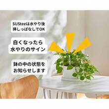 水やりチェッカー Lサイズ ホワイト 2本パック - ブラック + M + 2本 - チェックする 8