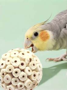 1/3pcs Bird Foraging Toy, Parrot Chewing Toy, Suitable For Beak Grinding, Suitable For Cockatoo, Budgie, Parrot, Lovebird And Small Bird - Multicolor - View 2