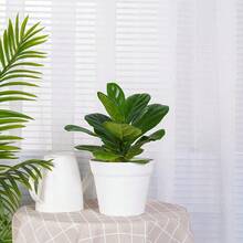 6-Pack White Plastic Plant Pots, 7 Inch Flower Pots With Trays For Indoor Plants - A - View 4