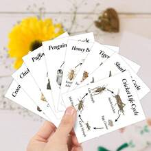 30 Animal Life Cycle Cards, Illustrated Animal Species Growth Cycle Flashcards, Insect Mammal Bird Reptile Fish Growth And Development Learning Cards - A - View 6