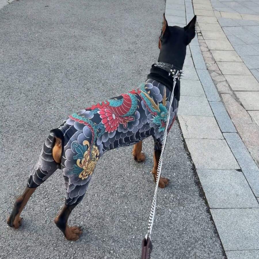 Black Viral Pet Tattoo Four-Legged Outfit, Breathable Anti-Shedding Cat & Dog Home Funny Costume - Black - View 1